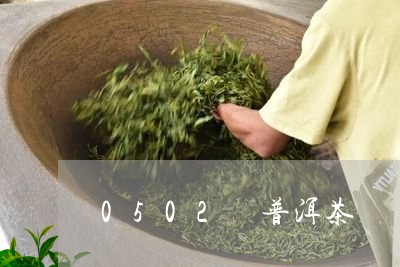 0502 普洱茶/2023041351493